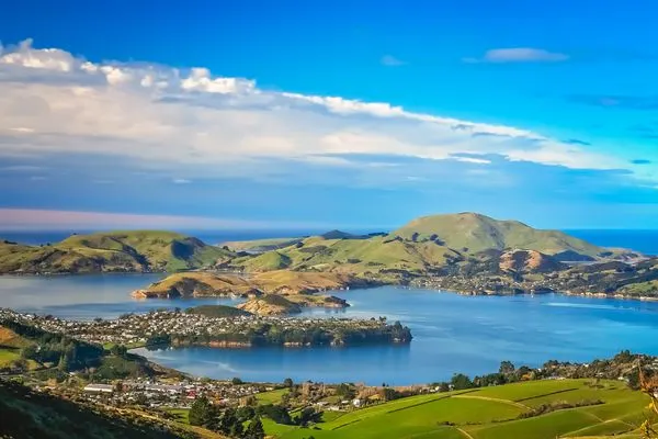 Dunedin Stadt und Bucht von den Hügeln aus gesehen