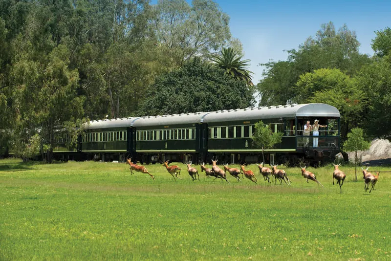 Rovos Rail