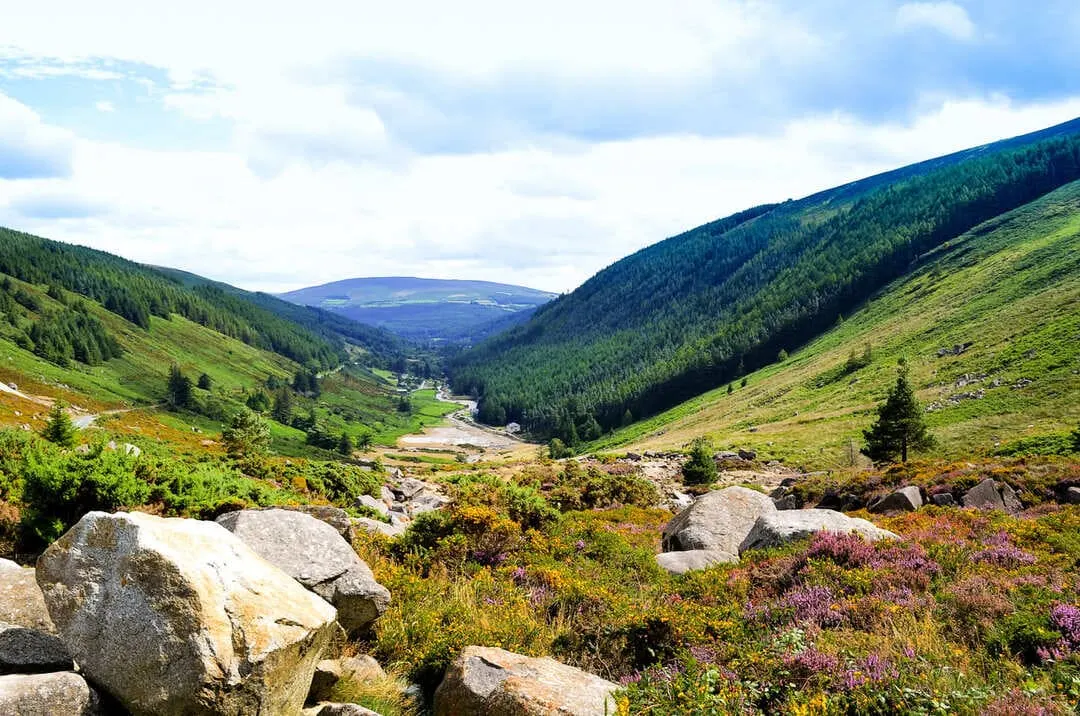 Wicklow-Berge